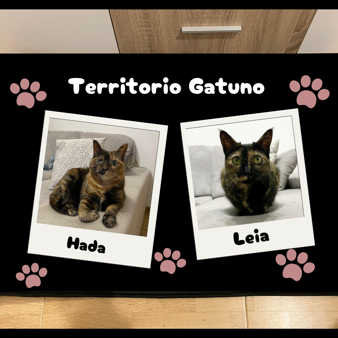 Alfombras Personalizadas de Mascotas